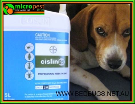 Clark pest control can handle all you pest control needs. CISLIN BED BUG PEST CONTROL TREATMENT
