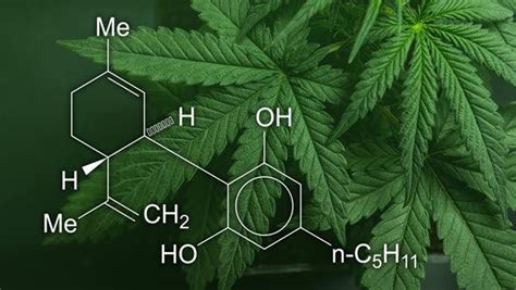 The Science Behind Cbd Understanding How It Works And Its Potential B