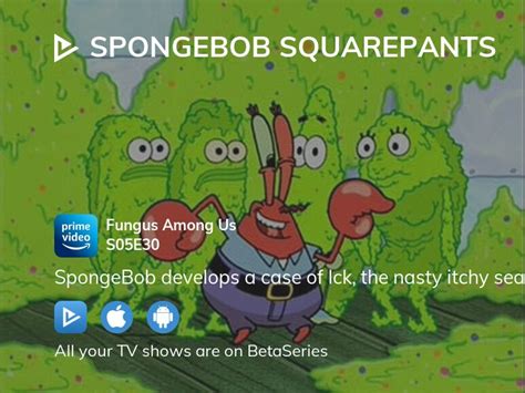 Watch Spongebob Squarepants Season 5 Episode 30 Streaming Online