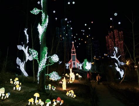 Lighting Festival At The Garden Of Morning Calm A Harmony Of Nature