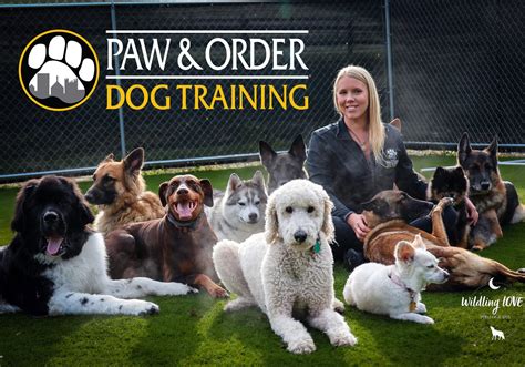 Puppy Archives Paw And Order Dog Training