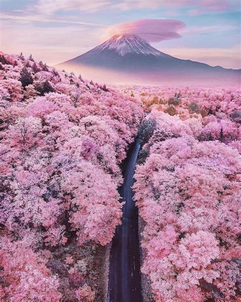Fujishizuoka Japan🗻🌸💗 Cherry Blossom Japan Mount Fuji Beautiful