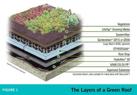 What Is A Green Roof Mganm Master Gardener Association Of