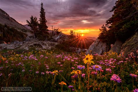 Morning Surprise Remote Rocky Mountain National Park Images Of