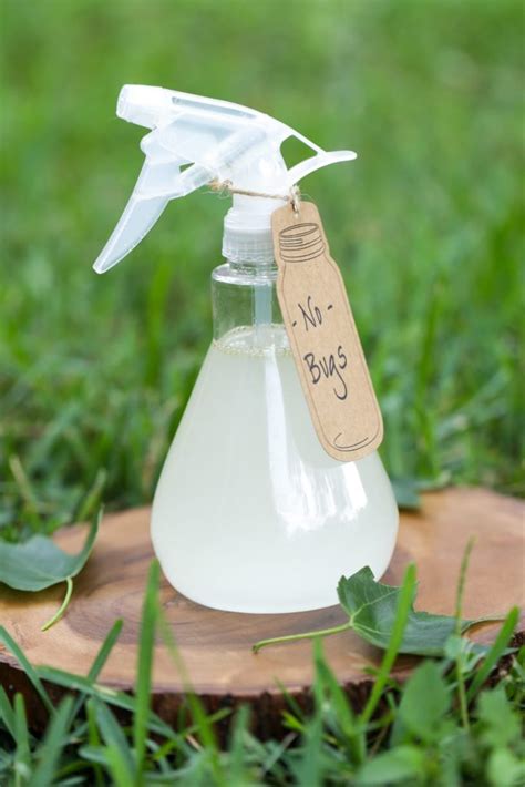 Homemade Bug Spray Mosquito Repellent Essential Oils Raw Raw Life