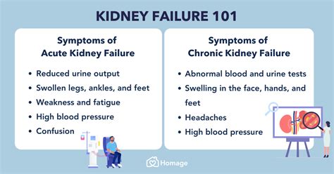 Understanding End Stage Renal Disease Causes Symptoms And Treatment