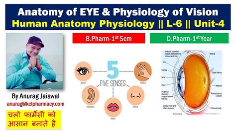 Anatomy Of Eye And Physiology Of Vision L 6 Unit 4 Hap Youtube