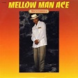 Mellow Man Ace – Mentirosa Lyrics | Genius Lyrics