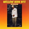 Mellow Man Ace – Mentirosa Lyrics | Genius Lyrics