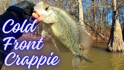 Crappie Fishing Just Before A Cold Front Youtube