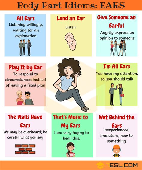 Ear Idioms 20 Useful Phrases And Idioms With Ears • 7esl