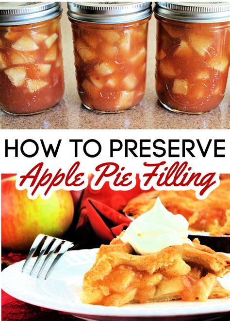 Canned Apple Pie Filling Recipe | Recipe | Filling recipes, Recipes, Apple pies filling
