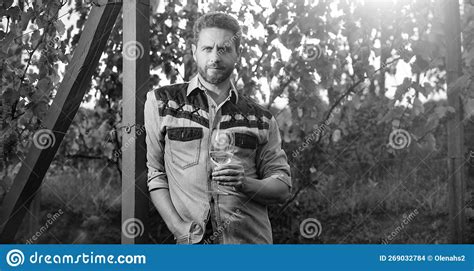 Male Vineyard Owner Professional Winegrower On Grape Farm Stock Photo