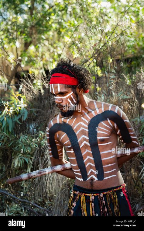 Aboriginal Anangu Man Wearing Traditional Body Paint To Perform Inma