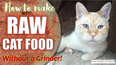 When selecting the best cat food in australia, i looked for the following key qualities. How to make Raw Cat Food WITHOUT a Grinder! (RECIPE ...