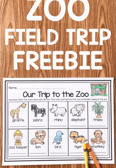 Zoo Field Trip Freebie Simply Kinder