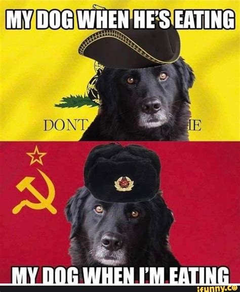 Comrade Doggo Rfunnymemes