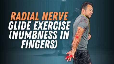 Radial Nerve Glide Exercise Numbness In Fingers Youtube