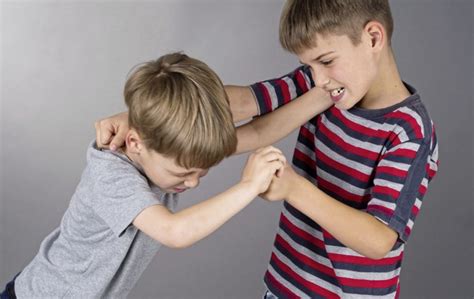 ask the expert how do i stop my two sons from fighting with each other the irish news
