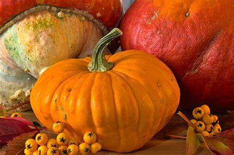 Pumpkins Vegetables Fall To Free Photo On Pixabay Pixabay