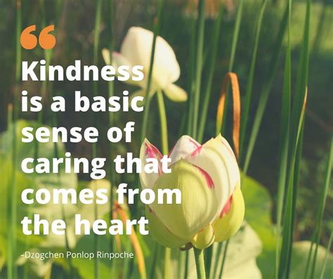 Kindness Is A Basic Sense Of Caring Dzogchen Ponlop Rinpoche