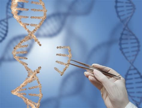 Scientists Unveil Search And Replace Genome Editing