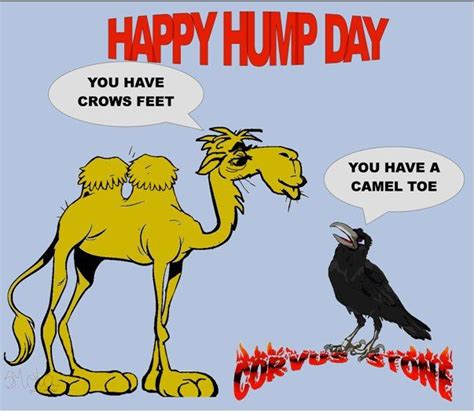 Happy Hump Day Jokes And Misc Stuff Hump Day Humor Good Morning