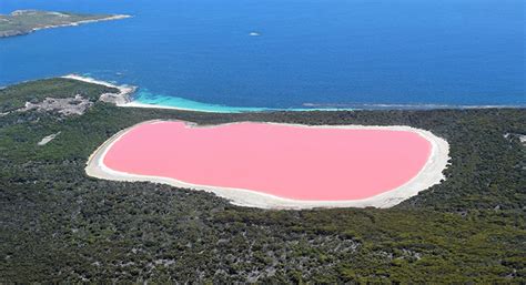 Aggregate 88 About Pink Lakes In Australia Latest Nec
