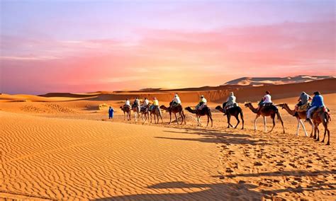 8 Days Camel Trekking In Morocco And Sahara Desert Tour Morocco