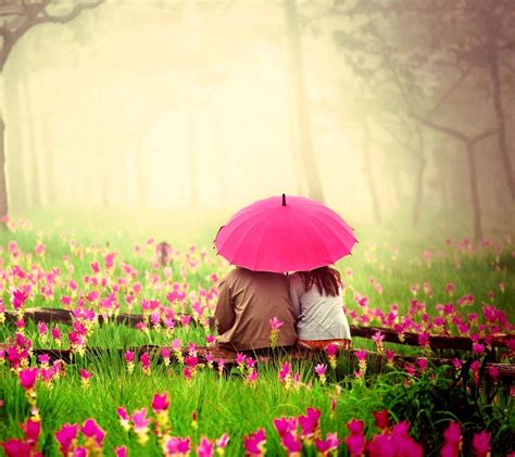Love Couple In Pink Garden Hd Love 4k Wallpapers Images Backgrounds