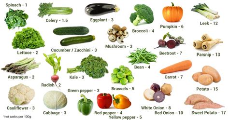 Carbs In Vegetables A Visual Guide Your Low Carb Hub