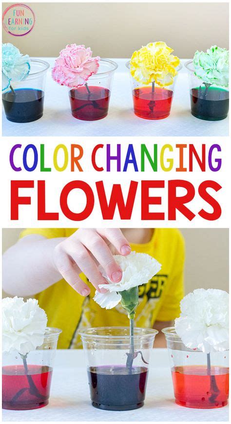 500 Preschool Science Experiments Ideas In 2020 Preschool Science