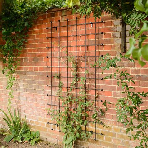Transform Your Outdoor Space With A Metal Wall Trellis Home Wall Ideas