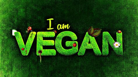 Vegan Wallpapers Top Free Vegan Backgrounds Wallpaperaccess