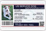 Pictures of Printable Service Dog Id Cards