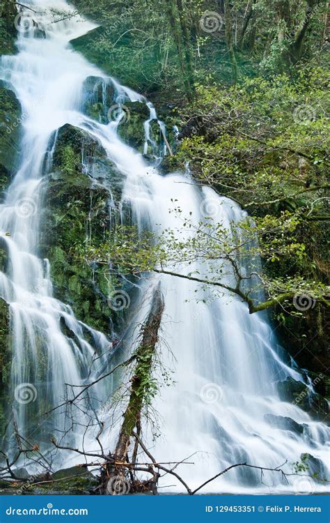 Cascading Waterfall Stock Image Image Of Flowing Summer 129453351