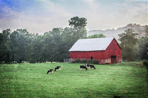 Red Barn And Cows Landscape Photography Photograph By Jennifer Rigsby