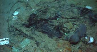 Human Remains Found At Titanic Shipwreck Site Officials Claim Photos