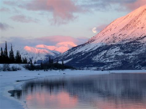 Spring Dawn On Lake Bennett Yukon