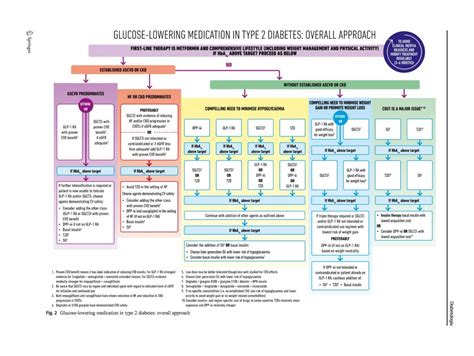 Diagnosed with type 2 diabetes? Diabetes Typ-2 personalisiert behandeln! Paradigmenwechsel ...