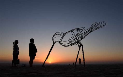 Swell Sculpture Festival 2024 Dates And Location Currumbin Gold Coast