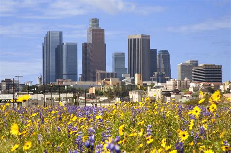 11 Melhores Parques Em Los Angeles Veja Os Espaços Ao Ar Livre Mais