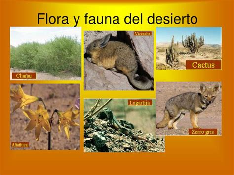 Top 149 Flora Y Fauna Del Desierto De Chile Anmb Mx