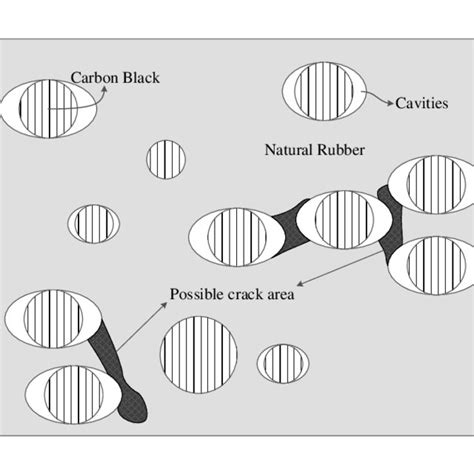 Schematic Illustration Of Carbon Black Cb Reinforced Natural Rubber