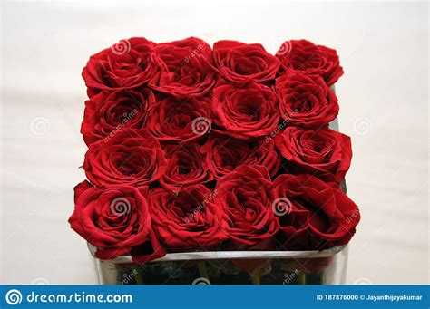 Bunch Of Red Roses Stock Photo Image Of Glass Color 187876000