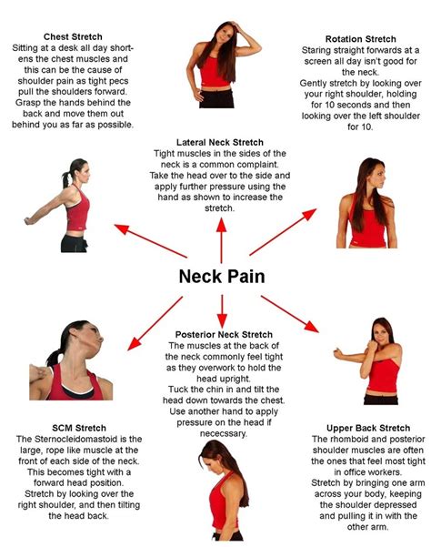 Printable Neck Stretches For The First Stretch Lower Your Chin To Your