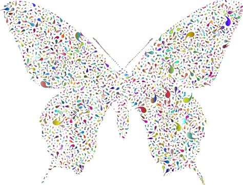 Schmetterling Tier Abstrakt Kostenlose Vektorgrafik Auf Pixabay Pixabay
