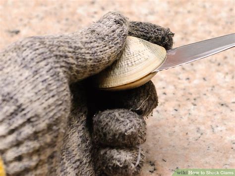 How To Shuck Clams 12 Steps With Pictures Wikihow