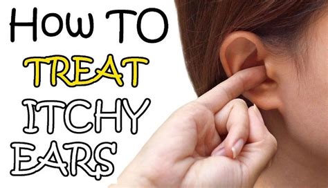 Home Remedies To Treat Itchy Ears Active Home Remedies