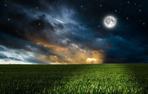Wallpaper Greens Field The Sky Grass Clouds Night The Moon